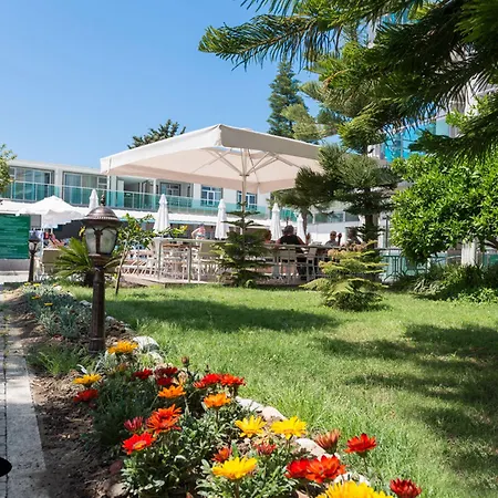 Clover Magic Altinkum Park