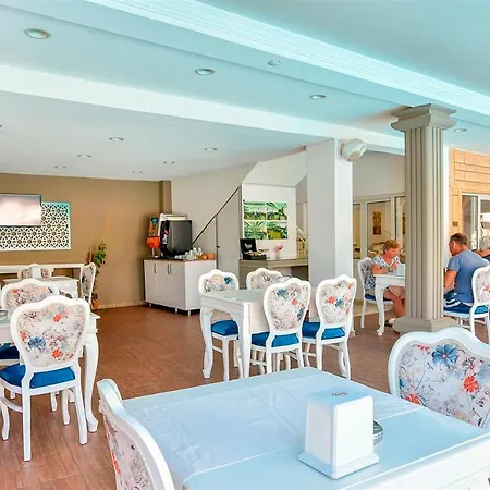 Clover Magic Altinkum Park シダ