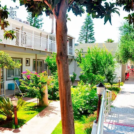 Clover Magic Altinkum Park 3* Σιντέ