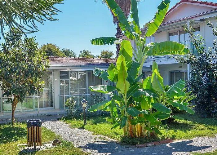 Clover Magic Altinkum Park Hotel 3*