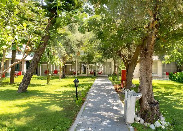 Clover Magic Altinkum Park 3*