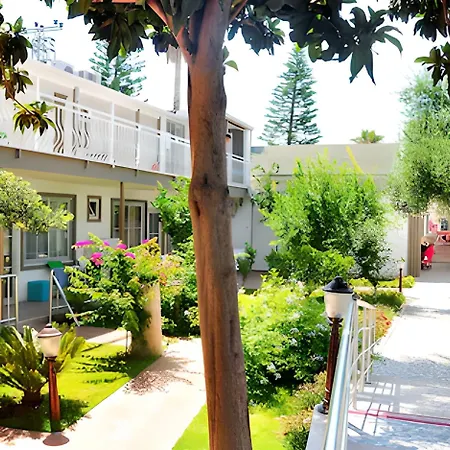 Отель Clover Magic Altinkum Park 3*