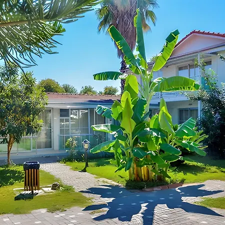 Clover Magic Altinkum Park 3* Side