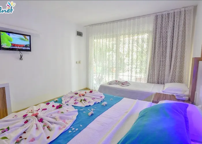 Clover Magic Altinkum Park 호텔 3*