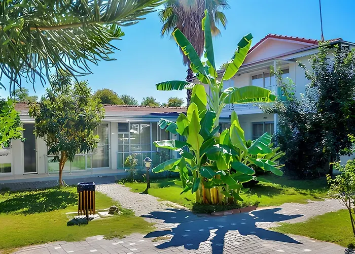 Clover Magic Altinkum Park 3* 시데