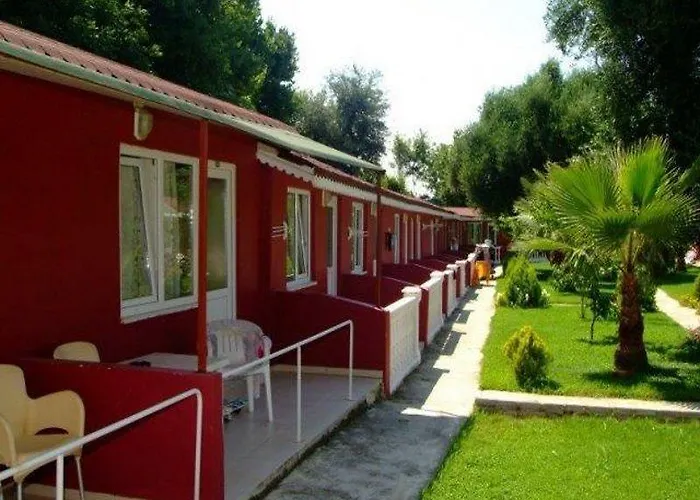 Clover Magic Altinkum Park 시데